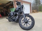 Thumbnail Photo 3 for 2019 Harley-Davidson Sportster Iron 883 for Sale by Owner