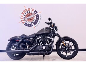 2019 Harley-Davidson Sportster Iron 883 for sale 201055825