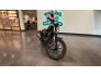 2019 Harley-Davidson Sportster Iron 883 for sale 201141256