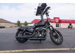 2019 Harley-Davidson Sportster Iron 883 for sale 201148184