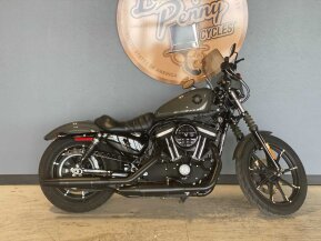 2019 Harley-Davidson Sportster Iron 883 for sale 201194308