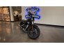 2019 Harley-Davidson Sportster Forty-Eight for sale 201201872