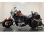 2019 Harley-Davidson Sportster 1200 Custom for sale 201229118