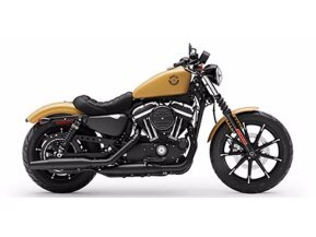 2019 Harley-Davidson Sportster Iron 883 for sale 201262527