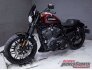 2019 Harley-Davidson Sportster Roadster for sale 201265730
