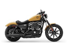 2019 Harley-Davidson Sportster Iron 883 for sale 201270299