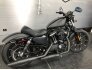 2019 Harley-Davidson Sportster Iron 883 for sale 201270301