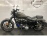 2019 Harley-Davidson Sportster Iron 883 for sale 201270306