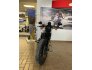 2019 Harley-Davidson Sportster Iron 883 for sale 201277604