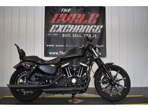 2019 Harley-Davidson Sportster for sale 201284972