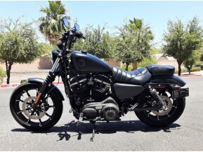 2019 Harley-Davidson Sportster Iron 883 for sale 201285901