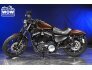 2019 Harley-Davidson Sportster Iron 883 for sale 201294569