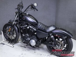 2019 Harley-Davidson Sportster Iron 883 for sale 201299211