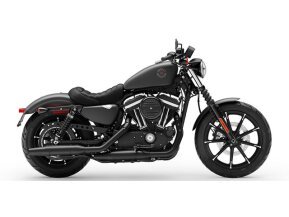 2019 Harley-Davidson Sportster Iron 883 for sale 201301698