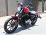 2019 Harley-Davidson Sportster Iron 883 for sale 201302934