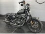 2019 Harley-Davidson Sportster Iron 883 for sale 201309514