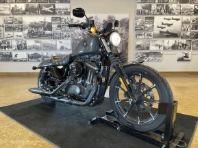 2019 Harley-Davidson Sportster Iron 883 for sale 201310090