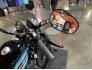 2019 Harley-Davidson Sportster Iron 1200 for sale 201312175