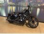 2019 Harley-Davidson Sportster Iron 883 for sale 201313967