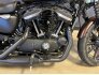2019 Harley-Davidson Sportster Iron 883 for sale 201313968