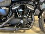 2019 Harley-Davidson Sportster Iron 883 for sale 201313980
