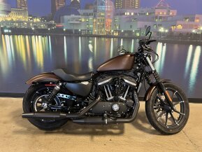 2019 Harley-Davidson Sportster Iron 883 for sale 201313981