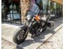 2019 Harley-Davidson Sportster Forty-Eight for sale 201315895