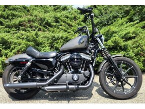 2019 Harley-Davidson Sportster Iron 883 for sale 201317983