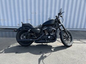 2019 Harley-Davidson Sportster Iron 883 for sale 201319000