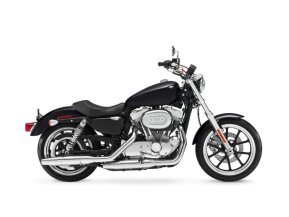 2019 Harley-Davidson Sportster for sale 201340662