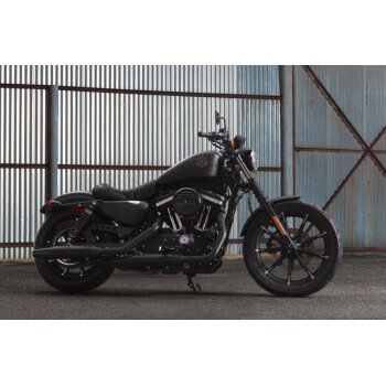2019 Harley-Davidson Sportster 883