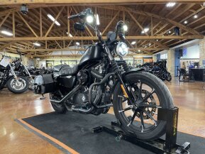 2019 Harley-Davidson Sportster Iron 883 for sale 201353807