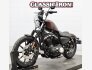 2019 Harley-Davidson Sportster Iron 883 for sale 201409524