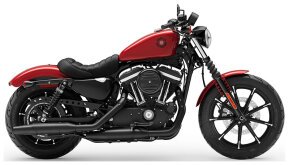 2019 Harley-Davidson Sportster Iron 883 for sale 201450817