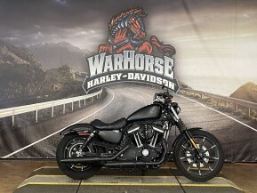 2019 Harley-Davidson Sportster Iron 883 for sale 201469641