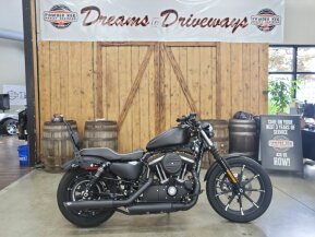2019 Harley-Davidson Sportster Iron 883 for sale 201490874