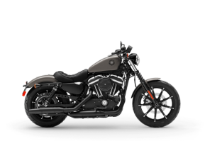2019 Harley-Davidson Sportster Iron 883 for sale 201526715