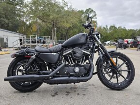 2019 Harley-Davidson Sportster Iron 883 for sale 201551616