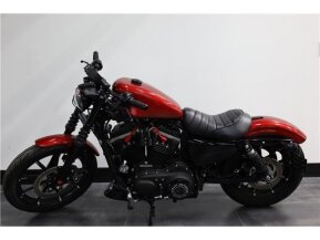 2019 Harley-Davidson Sportster Iron 883 for sale 201577752