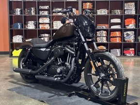2019 Harley-Davidson Sportster for sale 201608037