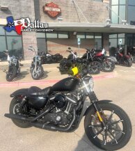 2019 Harley-Davidson Sportster Iron 883 for sale 201627507