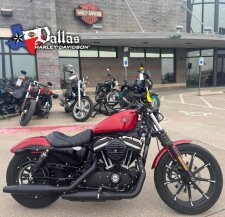 2019 Harley-Davidson Sportster Iron 883 for sale 201628511
