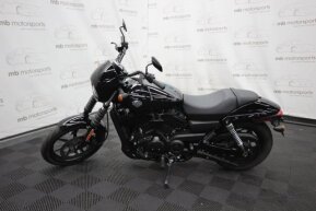 2019 Harley-Davidson Street 500 for sale 201521302
