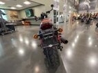 Thumbnail Photo 7 for 2019 Harley-Davidson Street Rod