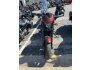 2019 Harley-Davidson Street Rod for sale 201323214