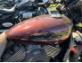 2019 Harley-Davidson Street Rod for sale 201323214