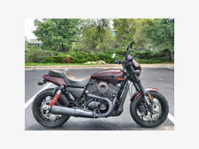 2019 Harley-Davidson Street Rod for sale 201337209