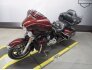 2019 Harley-Davidson Touring Electra Glide Ultra Classic for sale 201200388