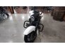2019 Harley-Davidson Touring Road King Special for sale 201263959