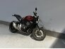 2019 Honda CB1000R for sale 201344358